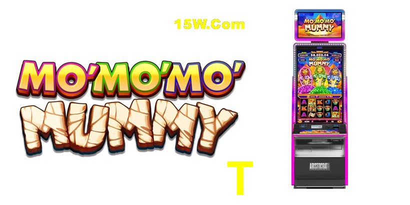Flash Promotion 876T